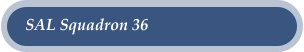 SAL Squadron 36