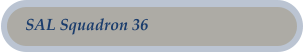 SAL Squadron 36